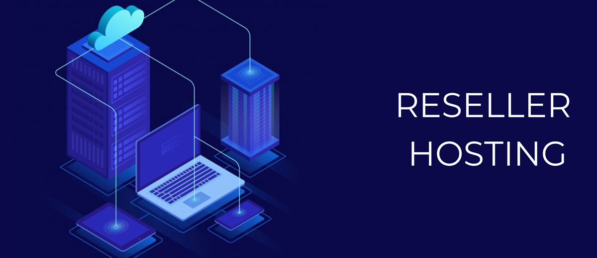 Website Hosting and Domain Names